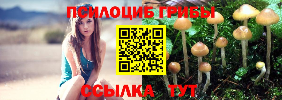 Галлюциногенные грибы MAGIC MUSHROOMS Карасук