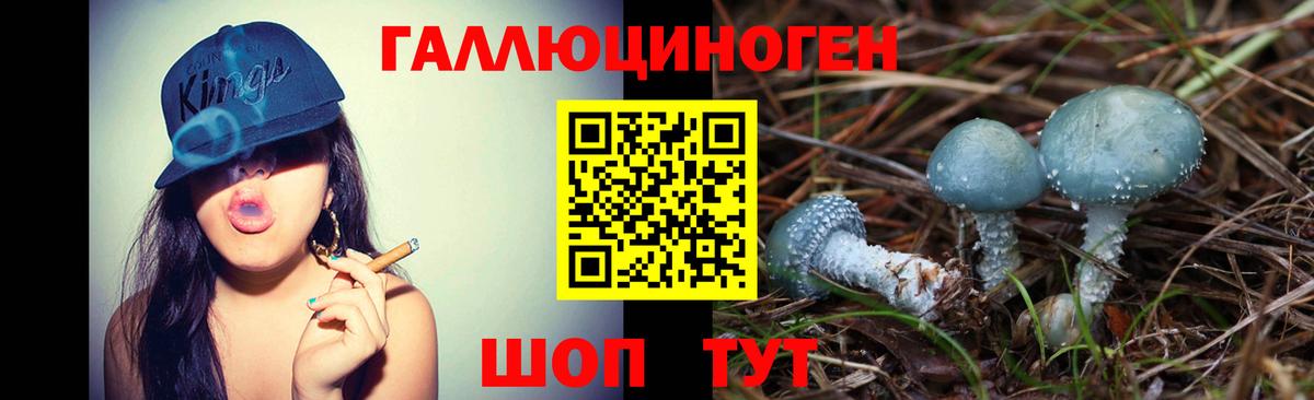 Псилоцибиновые грибы прущие грибы  Вход с VPN  Карасук 